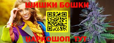 apvp Кингисепп