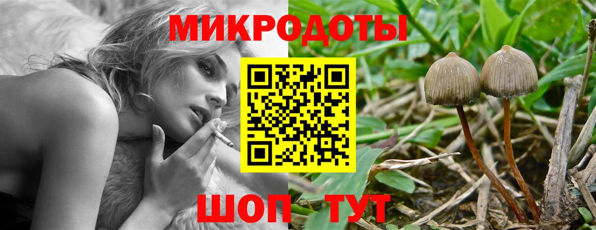 продажа наркотиков  Псилоцибиновые грибы GOLDEN TEACHER  Вход с VPN  Новокуйбышевск  Псилоцибиновые грибы GOLDEN TEACHER 